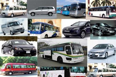 Dịch vụ thuê xe du xuân đắt hàng giá tăng nhẹ